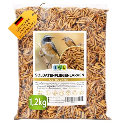 EWL Naturprodukte Soldatenfliegenlarven getrocknet, 1,2 kg (7,8 Liter) Soldatenfliegenlarven, Vogelfutter, Fischfutter, Schildkrötenfutter, Igelfutter mit Insekten von EWL Naturprodukte