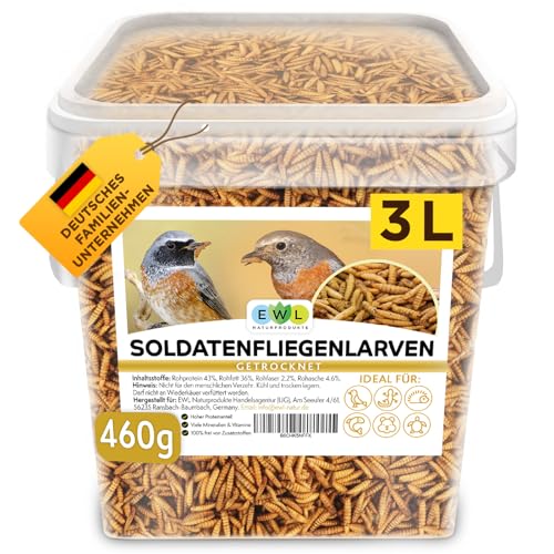 EWL Naturprodukte Soldatenfliegenlarven getrocknet 3 ltr. Premium Insektensnack Vögel, Fische, Schildkröten, Nager, Reptilien, Vogelfutter Wildvögel Ganzjährig Eichhörnchen Futter Igelfutter von EWL Naturprodukte