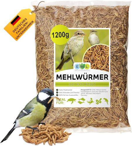 Mehlwürmer getrocknet 1,2kg = 7800ml Insektensnack für Vögel, Fische, Schildkröten, Nager und Reptilien, Vogelfutter Wildvögel Ganzjährig, Eichhörnchen Futter, Igelfutter von EWL Naturprodukte