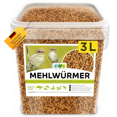 Mehlwürmer getrocknet 3L, Premium Insektensnack Vögel, Fische, Schildkröten, Nager, Igel, Reptilien, Vogelfutter Wildvögel Ganzjährig Eichhörnchen Futter Hamsterfutter Igelfutter (460g) von EWL Naturprodukte