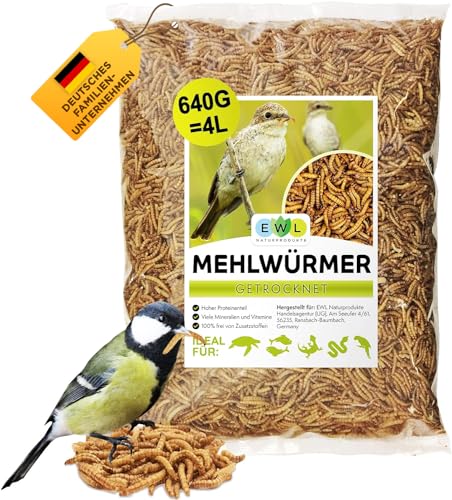 Mehlwürmer getrocknet 4 ltr. Insektensnack Vögel, Fische, Schildkröten, Nager, Igel, Reptilien, Vogelfutter Wildvögel Ganzjährig Eichhörnchen Futter Hamsterfutter Igelfutter von EWL Naturprodukte