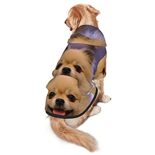 Happy Hunde-Sweatshirt mit Kapuze, kurzhaarig, mittlere und große Haustiere, für vier Jahreszeiten, Liebes-Design von EWMAR