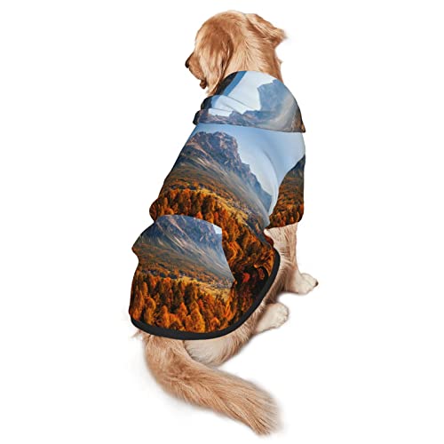 Haustier-Sweatshirt mit Kapuze, für Herbst, Größe M und L, für vier Jahreszeiten von EWMAR