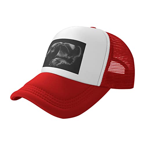 Hunde-Trucker-Mütze für Welpen, Rot: modische Baseballkappe für Erwachsene, tägliche Outdoor-Aktivitäten, Reisen von EWMAR