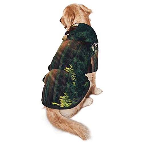 Morning Sunlight In Wilderness Haustier-Kapuzen-Sweatshirt für vier Jahreszeiten, Größe M und L von EWMAR