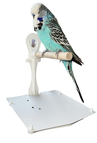 Vogel-Sitzstange mit Saugnapf und Abdeckung, für kleine bis mittelgroße Vögel, tragbar, zum Aufkleben auf Vogeldusche (nur Vogelsitzstange) von EWS PRODUCTS