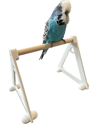 Vogelsitzstange Bodenständer für (kleine - mittelgroße Vögel) Vogelbodenständer Sitzstange - Naturvogelstange - Vogelspielplatz - Sitzstangen für Vögel von EWS PRODUCTS