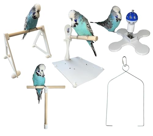 Vogelspielzeug und Sitzstange, 5-teiliges Set, für kleine bis mittelgroße Vögel von EWS PRODUCTS