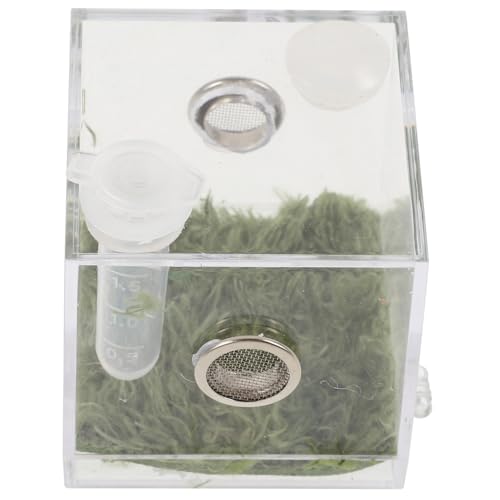 EXAOMBLE 1 Satz Acryl-spinnenzuchtbox, Transparente Springspinnen-futterbox, Insektenlebensraum von EXAOMBLE