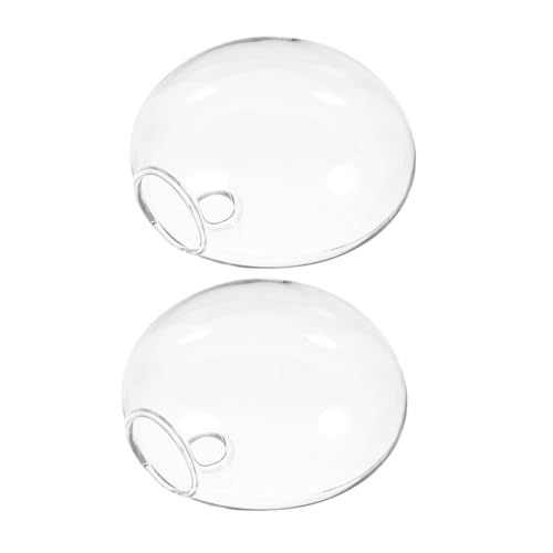 EXAOMBLE 2 Stück hydroponische Vase Glasterrarien für Pflanzen Wandhängender Vasenanhänger Glasvasen Hängendes Terrarium aus Glas Pflanzgefäße zur Wandvermehrung Transparent EXAOMBLE 2 Stück hydroponische Vase Glasterrarien für Pflanzen Wandhängender Vasenanhänger Glasvasen Hängendes Terrarium aus Glas Pflanzgefäße zur Wandvermehrung Transparent von EXAOMBLE