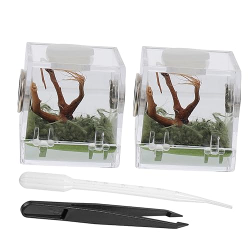 EXAOMBLE 2Satz Spinnen Lebensraumbox Teilig Zuchtbox für Springspinnen und Kompakt für Insekten und Kleine Reptilien zu Montieren Verwenden für Transport EXAOMBLE 2Satz Spinnen Lebensraumbox Teilig Zuchtbox für Springspinnen und Kompakt für Insekten und Kleine Reptilien zu Montieren Verwenden für Transport von EXAOMBLE