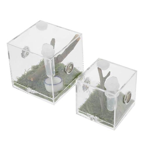 EXAOMBLE 2Stücke Insektenboxen Transparente Zuchtbehälter für Springspinnen und Kleine Reptilien mit Futteröffnung und Atmungsaktiven Seitenlöchern für Terrarien EXAOMBLE 2Stücke Insektenboxen Transparente Zuchtbehälter für Springspinnen und Kleine Reptilien mit Futteröffnung und Atmungsaktiven Seitenlöchern für Terrarien von EXAOMBLE