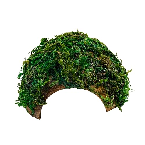EXAOMBLE Multifunktionale Reptilien Box Ornament Versteckhöhle Für Schildkröten Kompakte Dekoration Für Aquarium EXAOMBLE Multifunktionale Reptilien Box Ornament Versteckhöhle Für Schildkröten Kompakte Dekoration Für Aquarium von EXAOMBLE