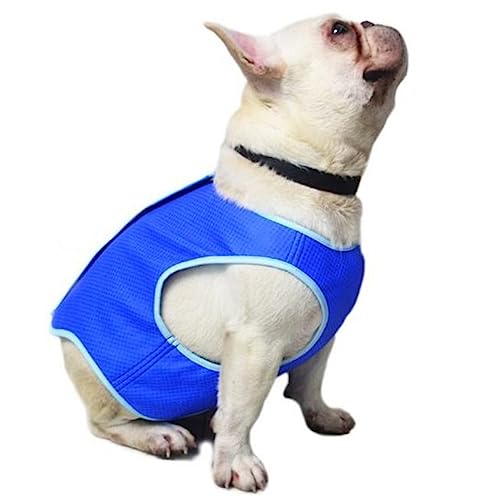 EXAOMBLE Kühlmantel für Atmungsaktive Hundekühlweste Xs Abkühlung Heißen Sommertagen für Haustier EXAOMBLE Kühlmantel für Atmungsaktive Hundekühlweste Xs Abkühlung Heißen Sommertagen für Haustier von EXAOMBLE