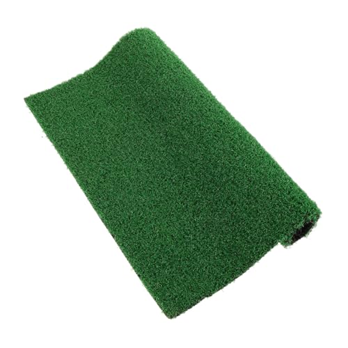 EXAOMBLE Realistisches Kunstrasen Terrarium sonnendeck Strapazierfähige UV beständige Schildkröten sonnenplattform mit Kletterhilfe Vielseitige Terrarienmatte für Aquarien und Reptilien EXAOMBLE Realistisches Kunstrasen Terrarium sonnendeck Strapazierfähige UV beständige Schildkröten sonnenplattform mit Kletterhilfe Vielseitige Terrarienmatte für Aquarien und Reptilien von EXAOMBLE