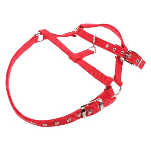 EXAOMBLE Reittraining für Strickhalfter für Pferde Wadenhalfter Pferdetrainingsausrüstung Schafhalter Pferdehalfter Pferdeleine Seilhalfter Pferdekostüm Nylon rot EXAOMBLE Reittraining für Strickhalfter für Pferde Wadenhalfter Pferdetrainingsausrüstung Schafhalter Pferdehalfter Pferdeleine Seilhalfter Pferdekostüm Nylon rot von EXAOMBLE