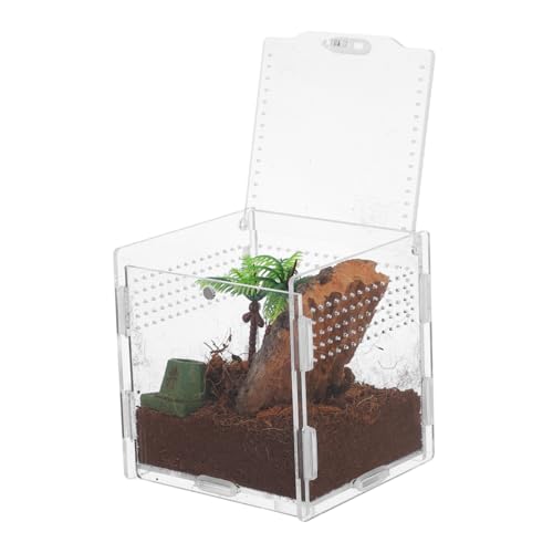 EXAOMBLE Spinnenbox Für Haustiere Spinnengehege Chamäleongehege Frosch-Panzer Springender Spinnenlebensraum Schildkrötengehege Tank Für Schildkröten Mikrolebensraum Spinnenpanzer Acryl von EXAOMBLE