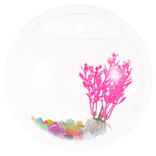 EXAOMBLE Wandmontierter Fischbowl Aquarium Durchmesser Transparente Wanddekoration für Fische und Pflanzen Platzsparendes Design für Zuhause Zufällige Farbe Zufällige Farbe EXAOMBLE Wandmontierter Fischbowl Aquarium Durchmesser Transparente Wanddekoration für Fische und Pflanzen Platzsparendes Design für Zuhause Zufällige Farbe Zufällige Farbe von EXAOMBLE