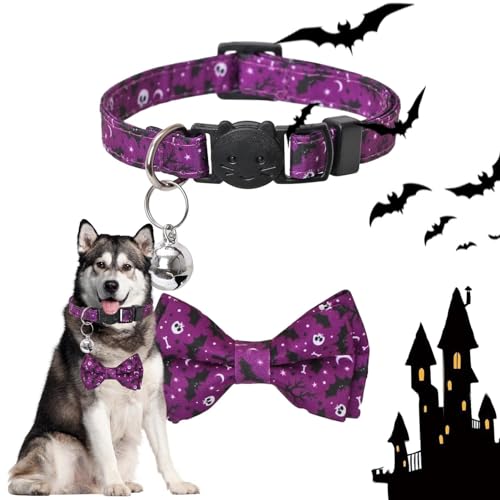Katzenhalsband für Halloween, Halloween, abnehmbare Fliege mit Klingelglocke, Outdoor-Haustier-Dekorationsprodukte für Reisen, Fotografie, Zuhause, Spazierengehen, Hochzeit Exbert Katzenhalsband für Halloween, Halloween, abnehmbare Fliege mit Klingelglocke, Outdoor-Haustier-Dekorationsprodukte für Reisen, Fotografie, Zuhause, Spazierengehen, Hochzeit Exbert von EXBERT