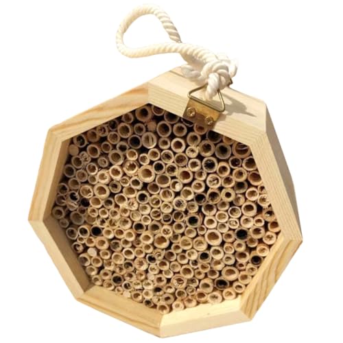 EXCEART Bienenwabe Bienenniströhren Natürlicher Bienenstock Bienenhotel Aus Bienenschutz Gartenhaus Bestäuber Bienenhaus Holzbienenhaus Biene Liefert Getrocknetes Schilf Draussen von EXCEART