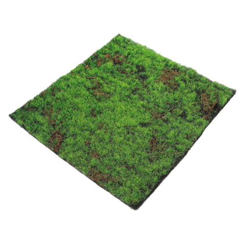 EXCEART Simulation Moos Rasen Kunstrasenfliesen Landschaftsrasenmatte Hochzeitsgrasteppich Grasmatte Selber Machen Kunstrasenplätze Moos Zum Basteln Künstlicher Grasteppich Green Plastik von EXCEART
