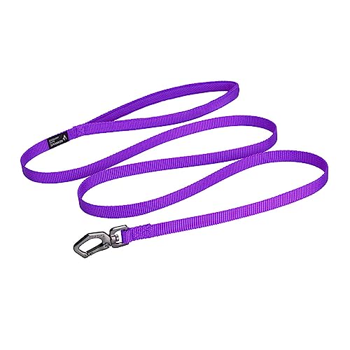 EXCELLENT ELITE SPANKER Nylon Hundeleine Basic Style 5 Feet Long 1/2" Wide Rope für kleine Haustiere Hunde und Katzen Training und Walking（Violett） von EXCELLENT ELITE SPANKER