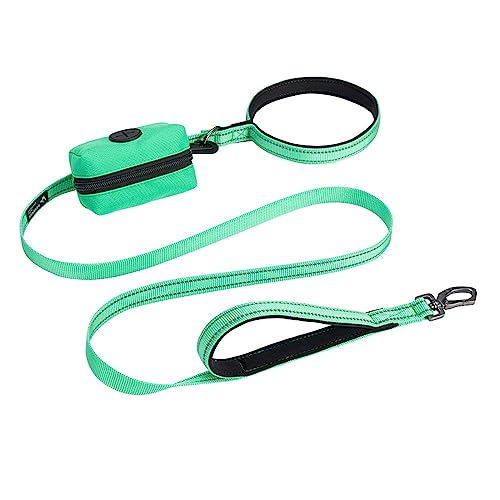 EXCELLENT ELITE SPANKER Reflektierende Nylon Hundetrainingsleine Starke haltbare Hundeleine 5 Fuß lang 3/4" breit mit Poop Bag Halter für kleine Hunde（Grün） von EXCELLENT ELITE SPANKER