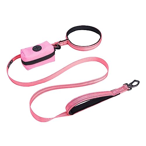 EXCELLENT ELITE SPANKER Reflektierende Nylon Hundetrainingsleine Starke haltbare Hundeleine 5 Fuß lang 3/4" breit mit Poop Bag Halter für kleine Hunde（Rosa） von EXCELLENT ELITE SPANKER