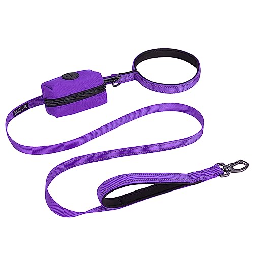 EXCELLENT ELITE SPANKER Reflektierende Nylon Hundetrainingsleine Starke haltbare Hundeleine 5 Fuß lang 3/4" breit mit Poop Bag Halter für kleine Hunde（Violett） von EXCELLENT ELITE SPANKER