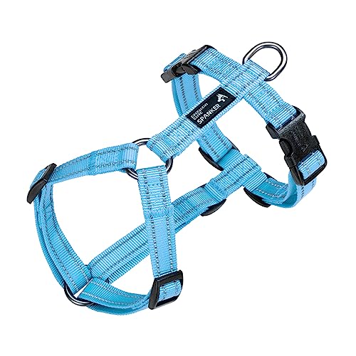 EXCELLENT ELITE SPANKER Spaziergang Hundegeschirr weich gepolstert reflektierende Weste Geschirr Anti-Twist-Leine für kleine mittlere große Hund Katze(LBLU,XL) von EXCELLENT ELITE SPANKER