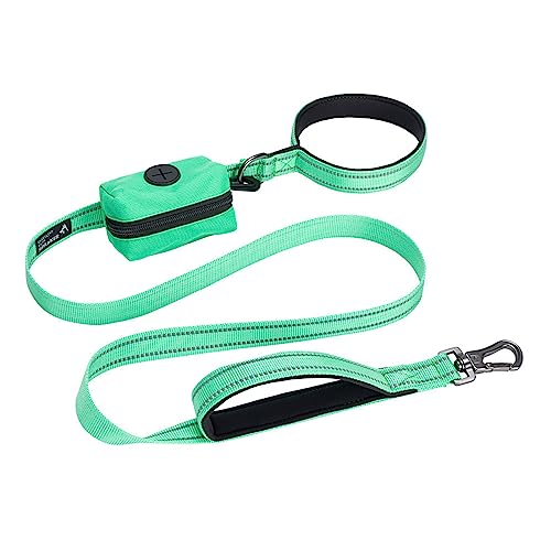 EXCELLENT ELITE SPANKER Reflektierende Nylon Hundetrainingsleine Starke haltbare Hundeleine 5 Fuß lang 1" breit mit Poop Bag Halter für kleine und mittlere Hunde（Grün） von EXCELLENT ELITE SPANKER