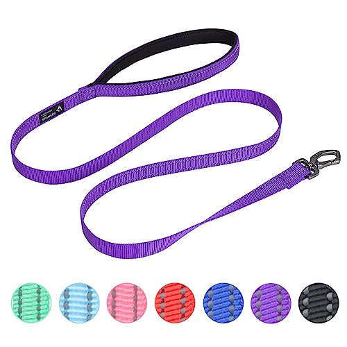 EXCELLENT ELITE SPANKER Starke haltbare reflektierende Hund Gassi gehen Leine Traktion Seil 4 Meter lang 3/4 "breit mit bequemen gepolsterten Griff für kleine Hunde(PUL) EXCELLENT ELITE SPANKER Starke haltbare reflektierende Hund Gassi gehen Leine Traktion Seil 4 Meter lang 3/4 "breit mit bequemen gepolsterten Griff für kleine Hunde(PUL) von EXCELLENT ELITE SPANKER