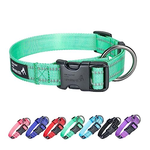 EXCELLENT ELITE SPANKER Nylon Hundehalsband,Verstellbares Reflektierendes Hundehalsband,Hundehalsband Kleine Hunde für Training, Laufen(GRN,S) von EXCELLENT ELITE SPANKER