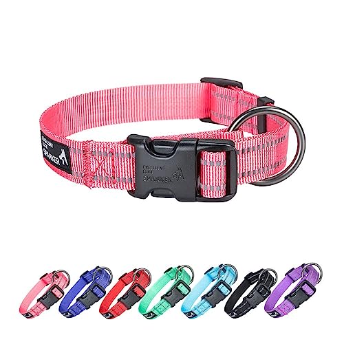 EXCELLENT ELITE SPANKER Nylon Hundehalsband,Verstellbares Reflektierendes Hundehalsband,Hundehalsband Kleine Hunde für Training, Laufen(PIK,L) von EXCELLENT ELITE SPANKER