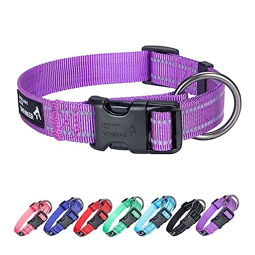 EXCELLENT ELITE SPANKER Nylon Hundehalsband,Verstellbares Reflektierendes Hundehalsband,Hundehalsband Kleine Hunde für Training, Laufen(PLU,S) von EXCELLENT ELITE SPANKER