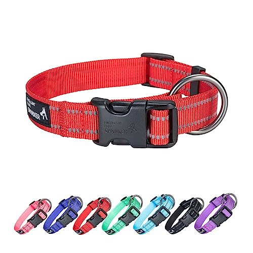 EXCELLENT ELITE SPANKER Nylon Hundehalsband,Verstellbares Reflektierendes Hundehalsband,Hundehalsband Kleine Hunde für Training, Laufen (RED,M) von EXCELLENT ELITE SPANKER