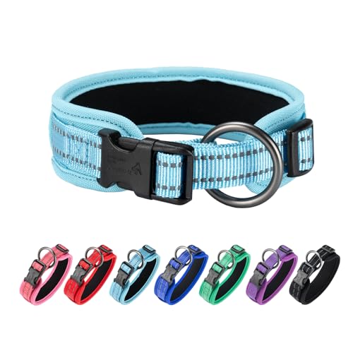 EXCELLENT ELITE SPANKER Premium Hundehalsband Ultra Comfort gepolstertes Hundehalsband mit Schnellverschluss Super einstellbar für alle Rassen(LBLU-S) von EXCELLENT ELITE SPANKER