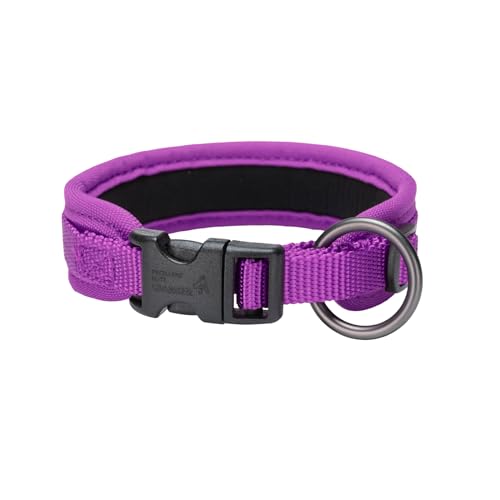 EXCELLENT ELITE SPANKER Premium Nylon Hundehalsband Atmungsaktiv Haustierhalsband mit Schnalle Einstellbar für kleine Hunde Katzen Walking Training(PUL) von EXCELLENT ELITE SPANKER