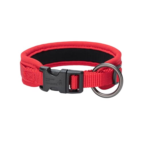 EXCELLENT ELITE SPANKER Premium Nylon Hundehalsband Atmungsaktiv Haustierhalsband mit Schnalle Einstellbar für kleine Hunde Katzen Walking Training(RED) von EXCELLENT ELITE SPANKER