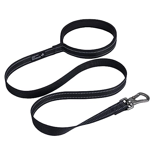 EXCELLENT ELITE SPANKER Starke strapazierfähige Nylon Hundetrainingsleine 4 Fuß lang 1" breit mit bequemem gepolstertem Griff für kleine und mittlere Hunde(BLK) von EXCELLENT ELITE SPANKER