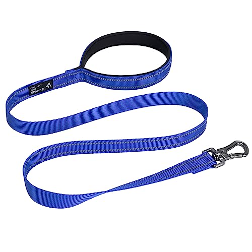 EXCELLENT ELITE SPANKER Starke strapazierfähige Nylon Hundetrainingsleine 4 Fuß lang 1" breit mit bequemem gepolstertem Griff für kleine und mittlere Hunde(BLU) EXCELLENT ELITE SPANKER Starke strapazierfähige Nylon Hundetrainingsleine 4 Fuß lang 1" breit mit bequemem gepolstertem Griff für kleine und mittlere Hunde(BLU) von EXCELLENT ELITE SPANKER