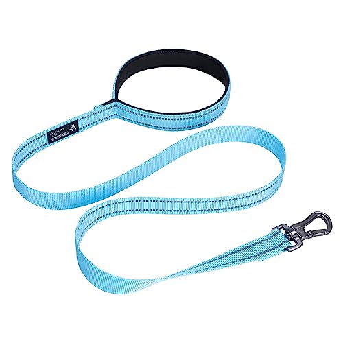 EXCELLENT ELITE SPANKER Starke strapazierfähige Nylon Hundetrainingsleine 4 Fuß lang 1" breit mit bequemem gepolstertem Griff für kleine und mittlere Hunde(LBLU) von EXCELLENT ELITE SPANKER