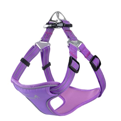 EXCELLENT ELITE SPANKER Reflektierende Nylon Hundeweste Geschirr Eva gepolstert Keine Pull-Weste einstellbar mit Namensschild-Front-Clip Service Hundegeschirr für kleine mittlere große Hunde(PUL-M) von EXCELLENT ELITE SPANKER