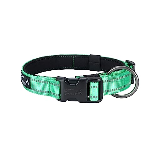 EXCELLENT ELITE SPANKER Reflektierendes Hundehalsband mit Sicherheitsverschluss, verstellbare Nylonhalsbänder für kleine, mittelgroße und große Hunde (S, GRN) von EXCELLENT ELITE SPANKER