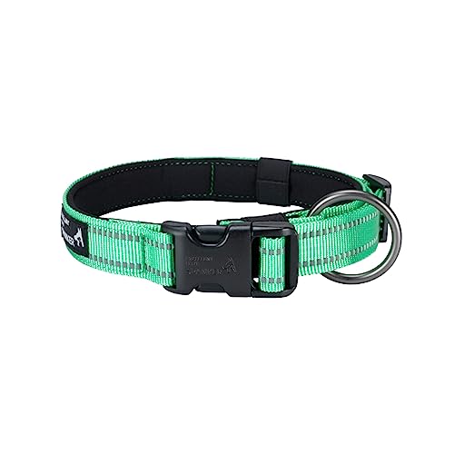 EXCELLENT ELITE SPANKER Reflektierendes Hundehalsband mit Sicherheitsverschluss, Verstellbares Nylon Hundehalsband für Kleine, Mittlere und Große Hunde(S, GRN) von EXCELLENT ELITE SPANKER