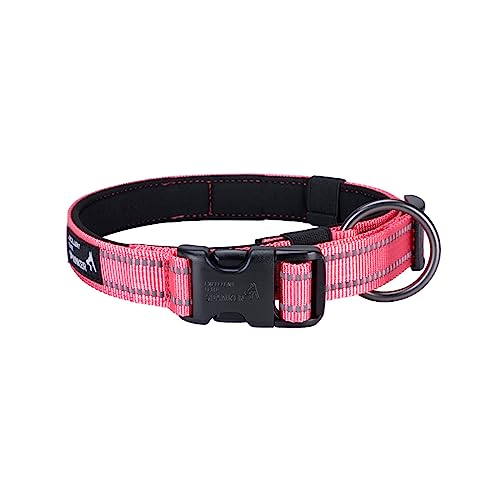 EXCELLENT ELITE SPANKER Reflektierendes Hundehalsband mit Sicherheitsverschluss, verstellbare Nylonhalsbänder für kleine, mittelgroße und große Hunde (S,PIK) von EXCELLENT ELITE SPANKER