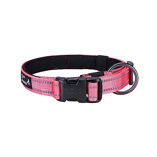 EXCELLENT ELITE SPANKER Reflektierendes Hundehalsband mit Sicherheitsverschluss, Verstellbares Nylon Hundehalsband für Kleine, Mittlere und Große Hunde(S,PIK) von EXCELLENT ELITE SPANKER