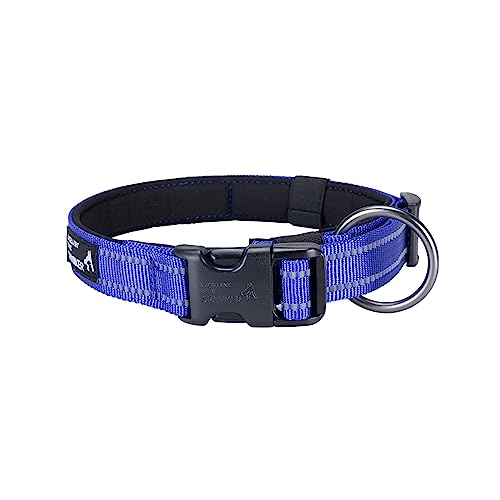 EXCELLENT ELITE SPANKER Reflektierendes Hundehalsband mit Sicherheitsverschluss, verstellbares Nylonhalsband für kleine, mittelgroße und große Hunde (L, BUL) von EXCELLENT ELITE SPANKER