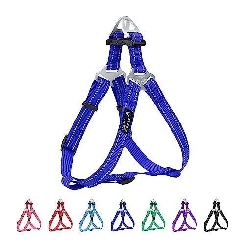 EXCELLENT ELITE SPANKER Schritt in Hundegeschirr Einstellbar Nicht Ziehen Hundegeschirr Welpengeschirr für Kleine Mittlere Große Hunde Training Walking von Haustier-Geschirr(BLU-M) EXCELLENT ELITE SPANKER Schritt in Hundegeschirr Einstellbar Nicht Ziehen Hundegeschirr Welpengeschirr für Kleine Mittlere Große Hunde Training Walking von Haustier-Geschirr(BLU-M) von EXCELLENT ELITE SPANKER