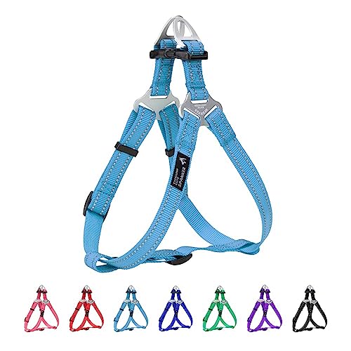 EXCELLENT ELITE SPANKER Schritt in Hundegeschirr Einstellbar Nicht Ziehen Hundegeschirr Welpengeschirr für Kleine Mittlere Große Hunde Training Walking von Haustier-Geschirr（LBLU-M） von EXCELLENT ELITE SPANKER